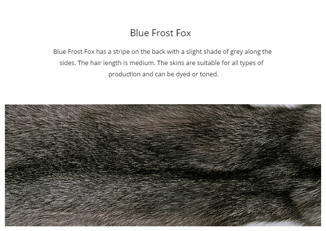 SAGA blue frost fox fur