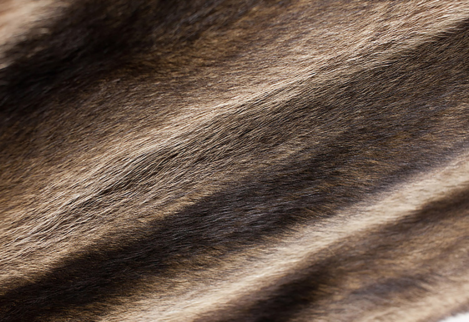 Men's Raccoon Fur Coat 0245-11